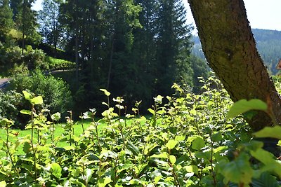 Gemütliche Wohnung in Baiersbronn mit Balkon