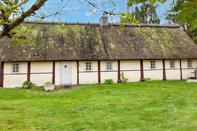 4 persoons vakantie huis in Læsø-By Traum