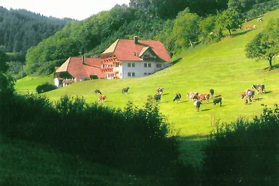 Appartamento Am Stulzenhof con balcone