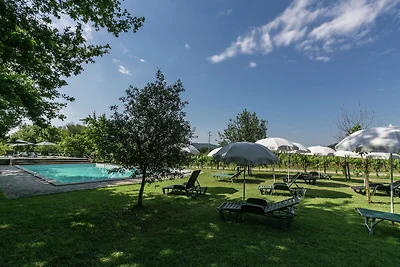 Autentico agriturismo con piscina