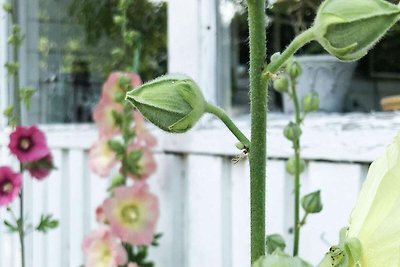 7 Personen Ferienhaus in NÄSSJÖ