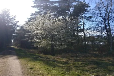 Meeresruhe in LumsAYs-By Traum