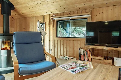 4 Personen Ferienhaus in Martofte