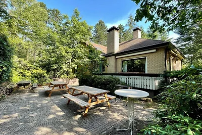 Villa a Doornspijk con piscina