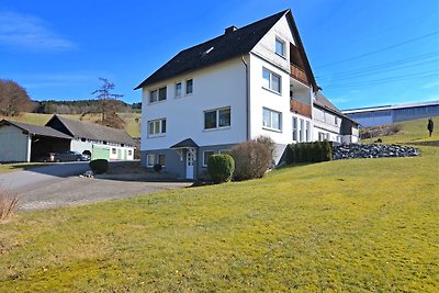 Gezellig appartement in Sauerland met...