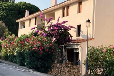 Appartements für 4 Personen