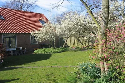 'Atelier aan Zee'
