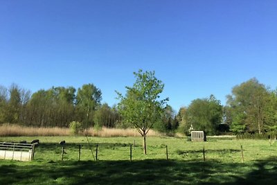 Geräumiges Ferienhaus in Borkel en Schaft mit...