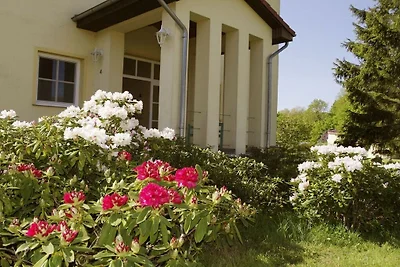 Schlossblick am Schloss Weisdin