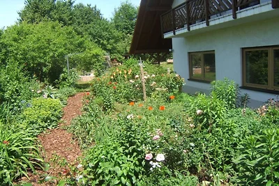 - Huis op de weide || Venningen
