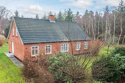 4 Sterne Ferienhaus in Læsø