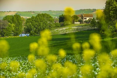 Ferienhaus in San Costanzo mit Pool