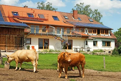 Appartement de vacances avec 3 chambres