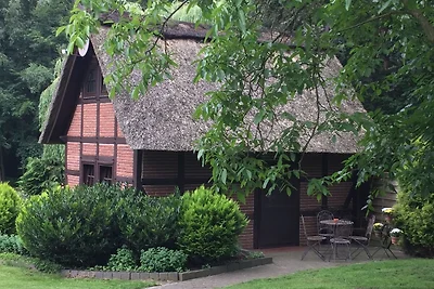 Vakantiehuis in Kirchdorf met manege.