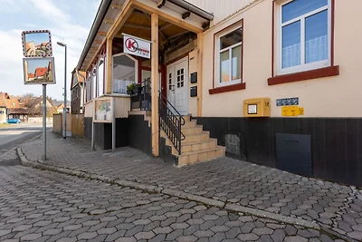Luminoso appartamento a Harz