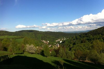 Villa in den Hügeln von Jachymov in der Nähe ...