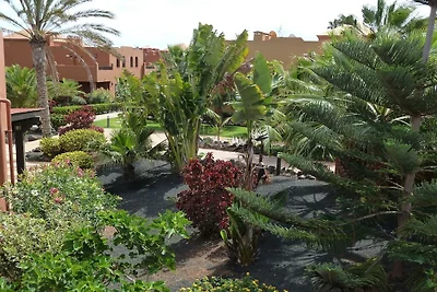 Residence Oasis Tamarindo