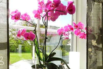 4 star holiday home in LYSEKIL
