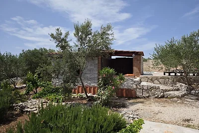 Ferienhaus mit 2 Schlafzimmer