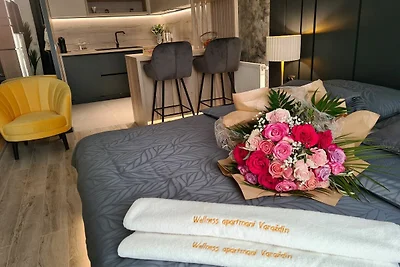 Wellness Apartments - Studio Apartment with T...