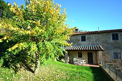 Ferienhaus in Dicomano mit Stadtzentrum