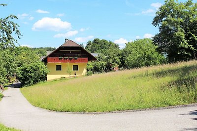 Appartement in Koettmannsdorf vlakbij...