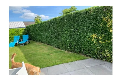 Bungalow in Zoutelande mit Schwimmbecken