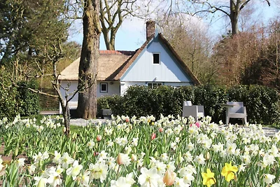 Romantisches Bauernhaus in der Nähe des...