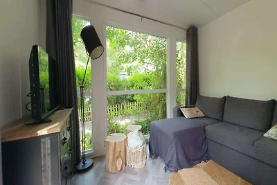 Neues Ferienhaus in Hattemerbroek mit...