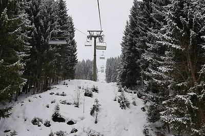 Wohnung in Filzmoos bei Ski Amadé