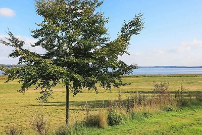 4 Personen Ferienhaus in Højslev