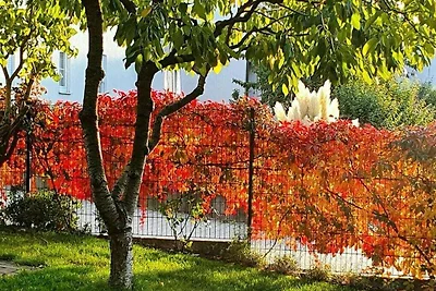 Al parco Residenza di vacanza confortevole