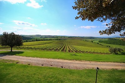 Agriturismo met zwembad, uitzicht over wijnga...