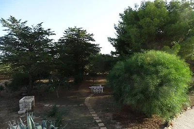 Tenuta Marchese
