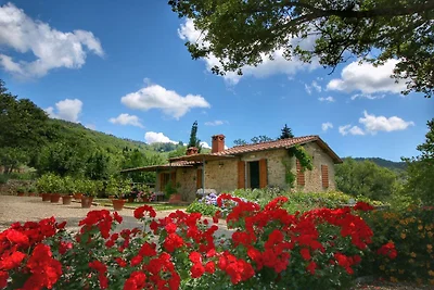 Farmhouse in Loro Ciuffenna with swimming...