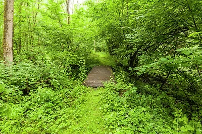 Direkte Umgebung (Sommer) (<1 km) Direkte Umgebung (Sommer) (<1 km)