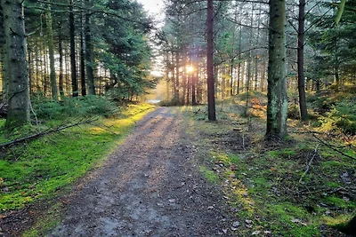 6 persoons vakantie huis in Pandrup-By Traum