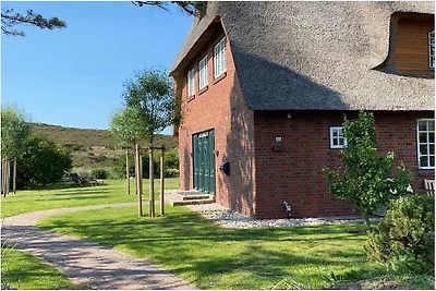 Dünenzauber Süderhörn