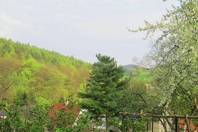 Casa vacanze vicino alla foresta a Fischbach