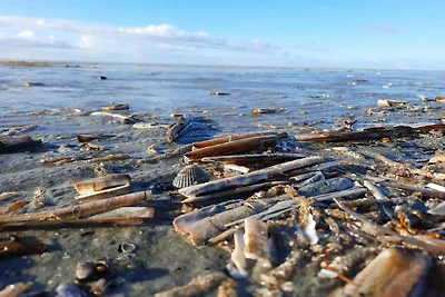 Luxurioses Refugium mit Pool -- By Traum...