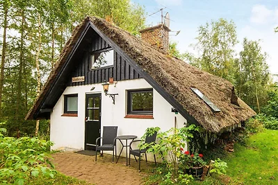 2 Personen Ferienhaus in Ejstrupholm-By Traum