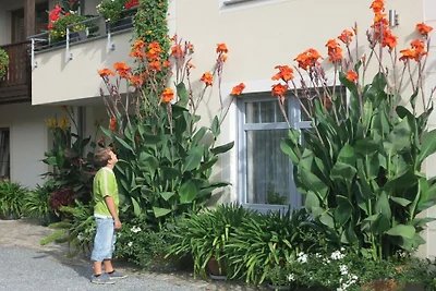 Ferienwohnung im Sonnenhof