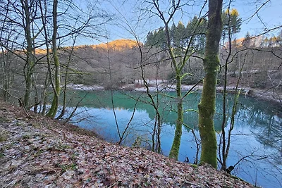 Wohnung in der Nähe des Skigebietes in...