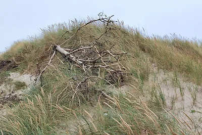 Strandspab & Entspannung -- By Traum