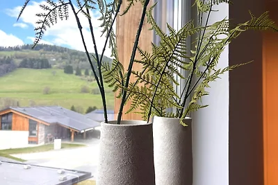 Modernes Ferienhaus mit Sauna