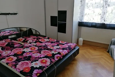 Wohnung Nähe Skigebietes Tannenbergsthal