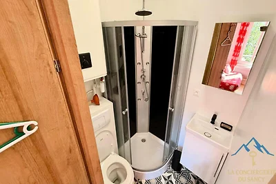 The Mists 2 Le Mont Dore 2/4 Personen