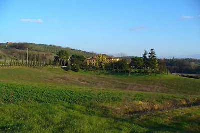 Confortevole agriturismo con piscina a Vinci