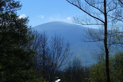 Chalet con giardino nei Pirenei