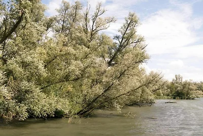 Omgeving (zomer) (1-5 km) Omgeving (zomer) (1-5 km)